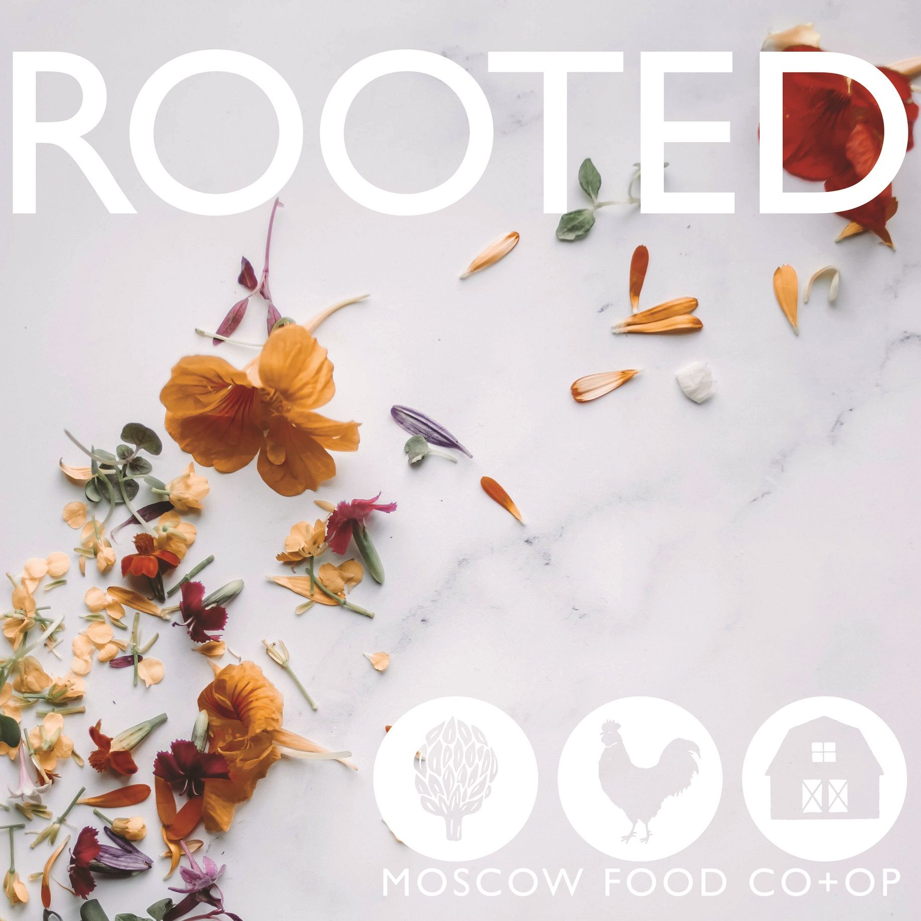 Rooted Radio